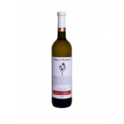 Víno z Kobylí Bílé víno Ryzlink rýnský s přívlastkem pozdní sběr suché 2020